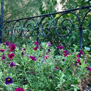 Meet your Posher, Lutin Bleu